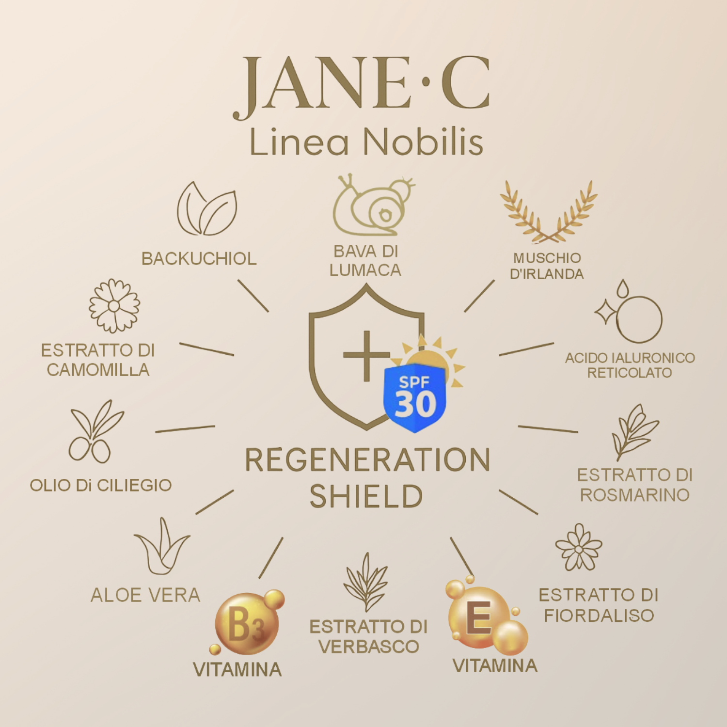 JANE•C Crema Viso Antirughe Effetto filler con SPF30 – Skincare Coreana Anti-Age con Retinolo Vegetale,Bava di Lumaca, Acido Ialuronico, Vitamina B3 – Idratante e Illuminante – 50ml Made in Italy