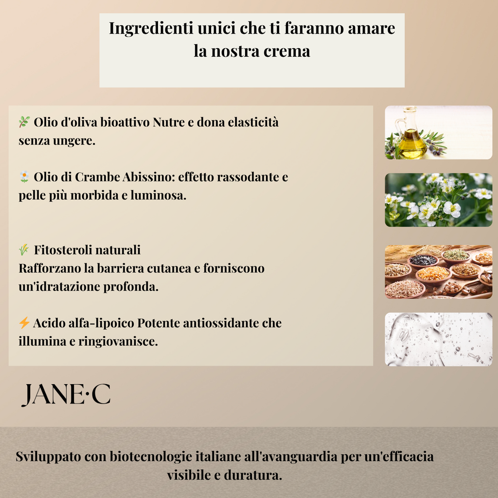 JANE•C Crema Viso Notte Antirughe – Crema Notte Rigenerante e Levigante, Anti-Age Intensiva con Retinolo, Coenzima Q10, Centella Asiatica e Fosfolipidi – Skincare Coreana – 50 ml – Made in Italy